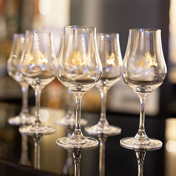 EliteClub Cognac Gläser (6 Stück)